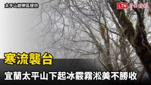 寒流襲台 宜蘭太平山下起冰霰霧淞美不勝收