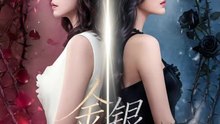 金银双姝1-40（80集）王艺霏&徐霄