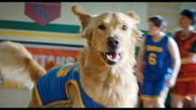 Air Bud Returns - Teaser Trailer (English) HD