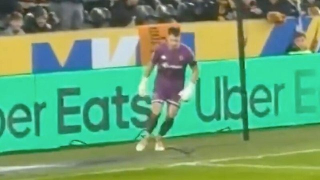 Uno scoiattolo invade il campo e ferma la partita: show allo stadio