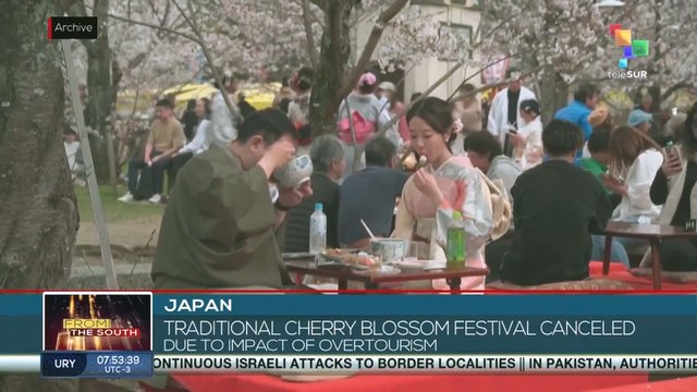 Japan: Traditional cherry blossom festival canceled due to impact of overtourism