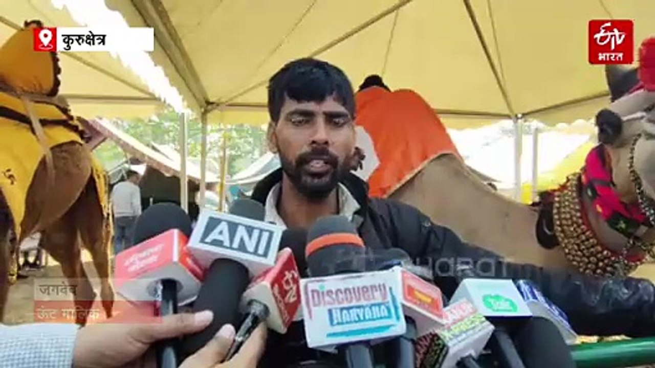 कुरुक्षेत्र पशु मेले में ऊंट के कैटवॉक ने हर किसी को किया मंत्रमुग्ध, देखें वीडियो