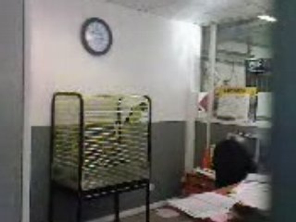 allez marseille paris c'est des PD