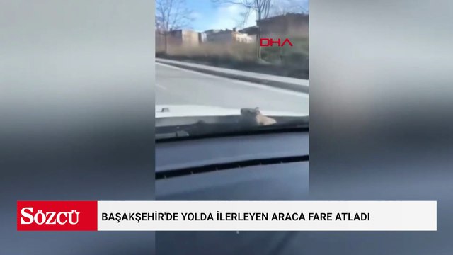 Başakşehir'de yolda ilerleyen araca fare atladı; sürücü polis çevirmesine girince kaçtı