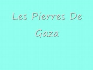 Le Silence Des Mosquées Les Pierres De Gaza