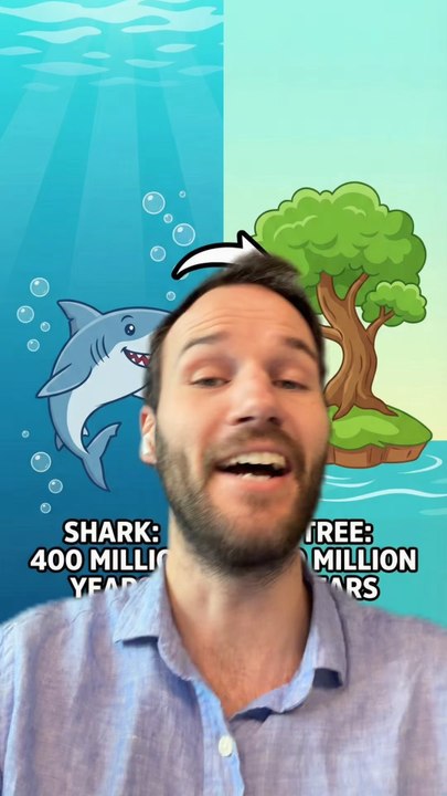 REQUIN vs ARBRE ?!