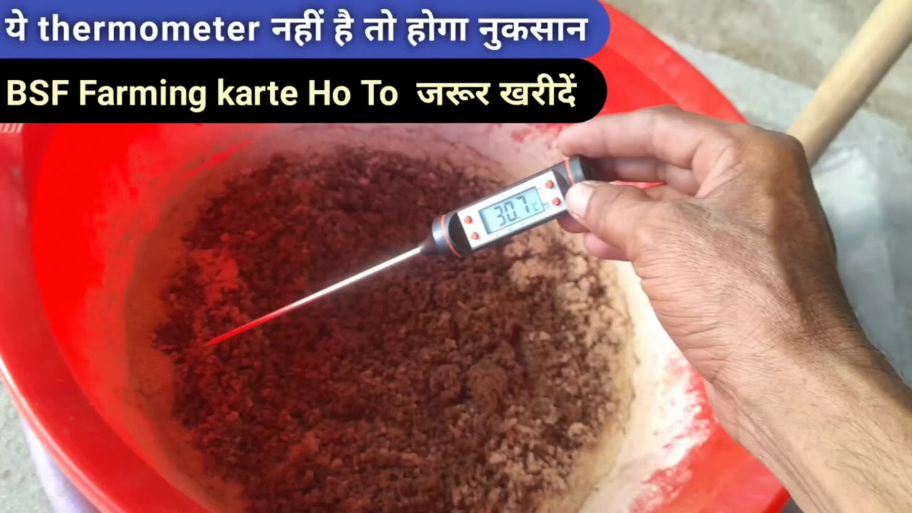 BSF farming ke liye best temperature meter | thermometer farming | thermometer pricr