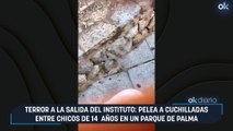 Terror a la salida del instituto: pelea a cuchilladas entre chicos de 14  años en un parque de Palma