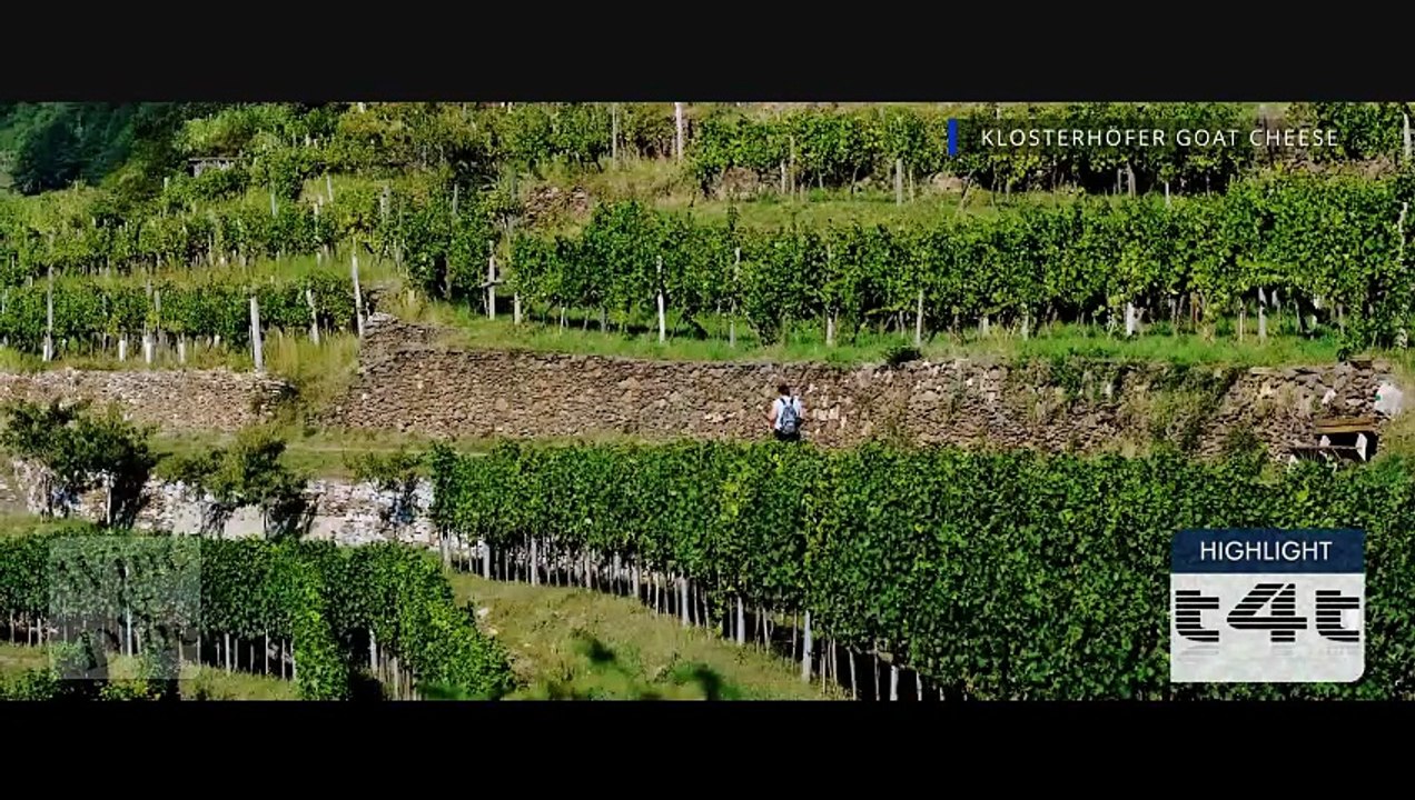 tips-4-trips - My #Tip227 -- Wine & Dine - Spessart -Goats' cheese from the Spessart