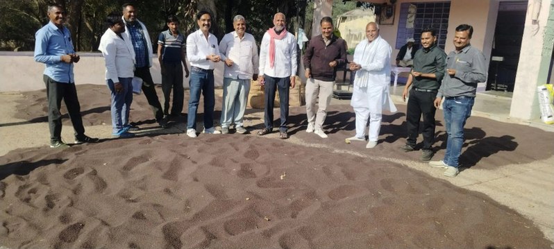 नई सरसों की आवक बढऩे से मंडी में रौनक, पहले से ज्यादा भाव मिलने से किसान खुश