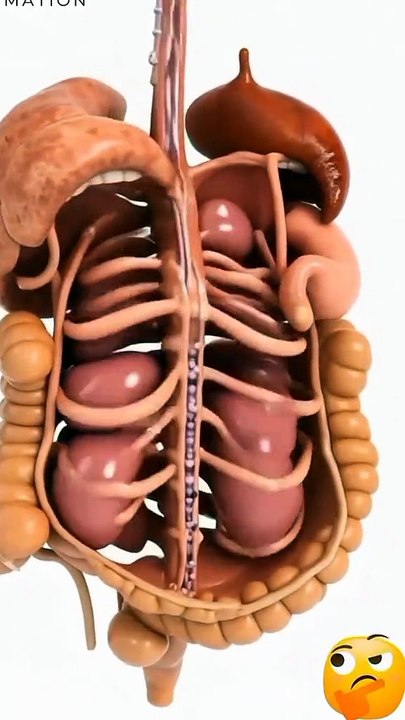 Health