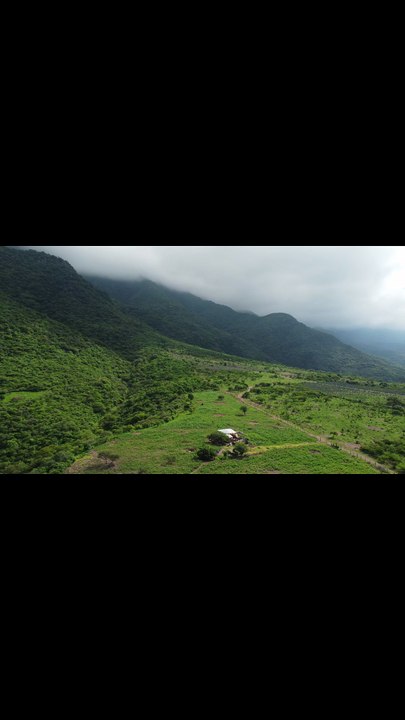 Past & Future - Musique AMIS