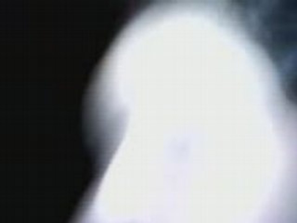 Pj10