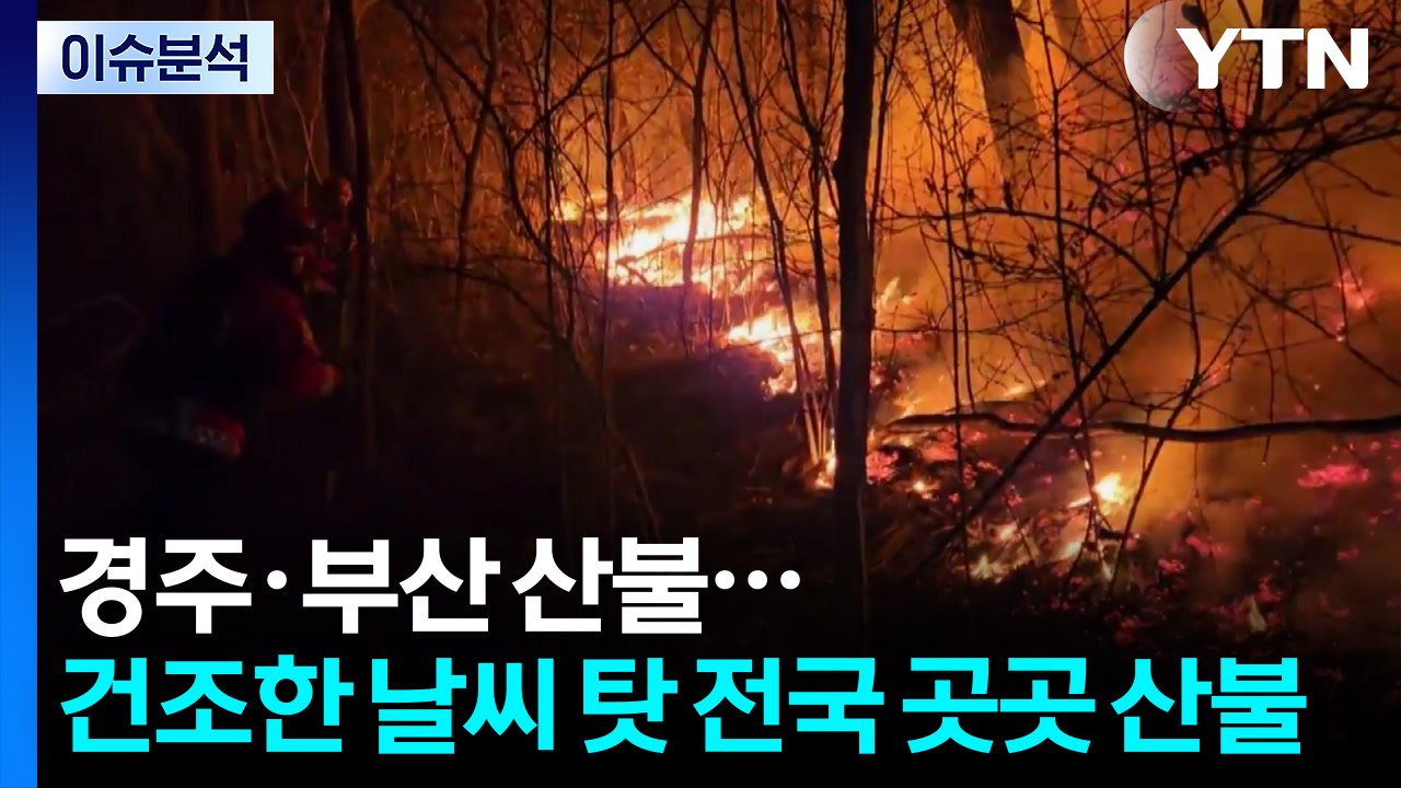 경주·부산 산불...건조한 날씨 탓 전국 곳곳 산불 / YTN