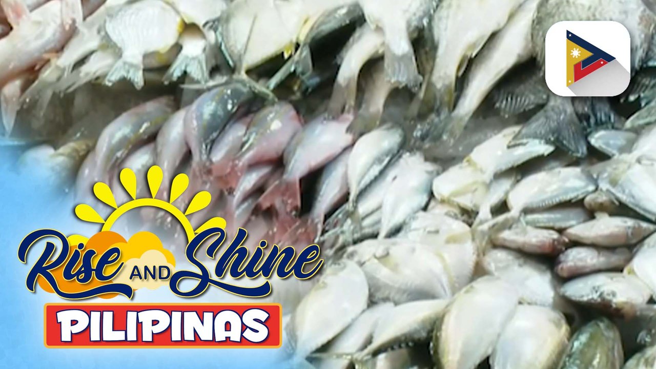 Fishing ban sa Northern Palawan, ni-lift na ng BFAR; presyo ng galunggong, inaasahang bababa sa susunod na 1-2 buwan | ulat ni Gab Villegas