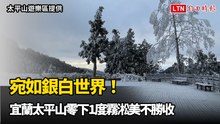 宛如銀白世界！宜蘭太平山零下1度霧淞美不勝收