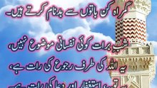 اسلامک وڈیو