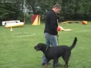 Understanding Def aka