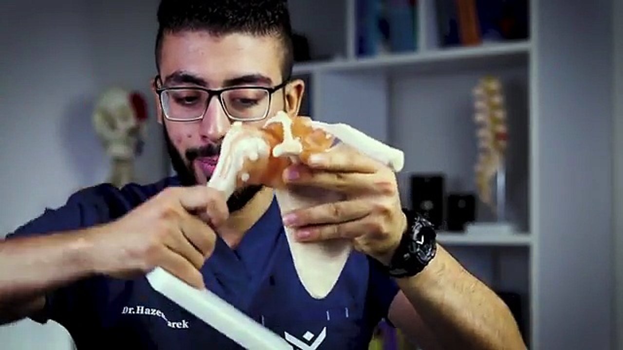 احمى نفسك من اصابة الكتف الرخمة👊 _تشريح عضلات تثبيت الكتف💪_ دكتور حازم طارق