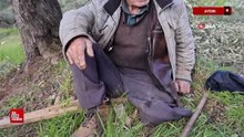 Aydın'da 85 yaşındaki amcanın tek ayağı ile azmi görenleri şaşırtıyor