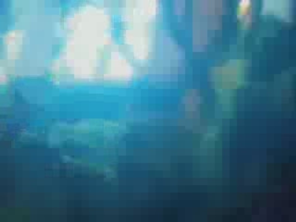 Tales of Symphonia ~summary of their story ~