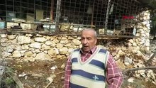 Aç kalan ayı tarihi ''hanayları'' bastı; ortalık savaş yerine döndü!