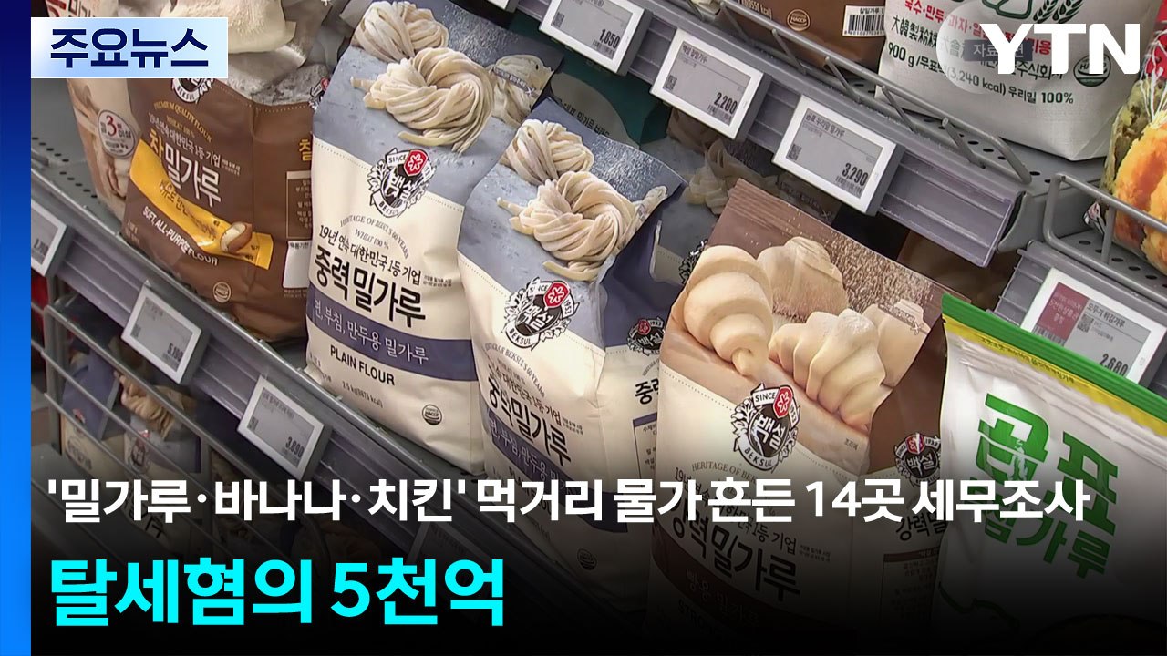 ’밀가루·바나나·치킨’ 먹거리 물가 흔든 14곳 세무조사...탈세혐의 5천억 / YTN