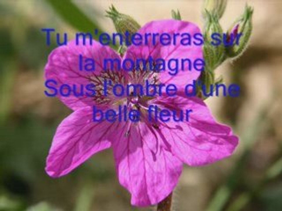 Bella ciao de ferhat imazighen