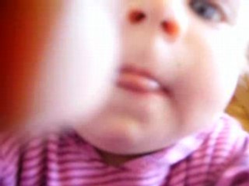 Malicia a quattre pattes 001