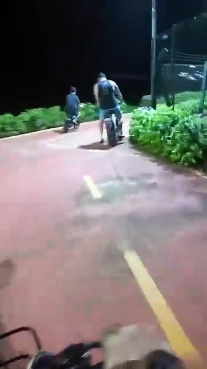 PARQUE EM SÃO PAULO