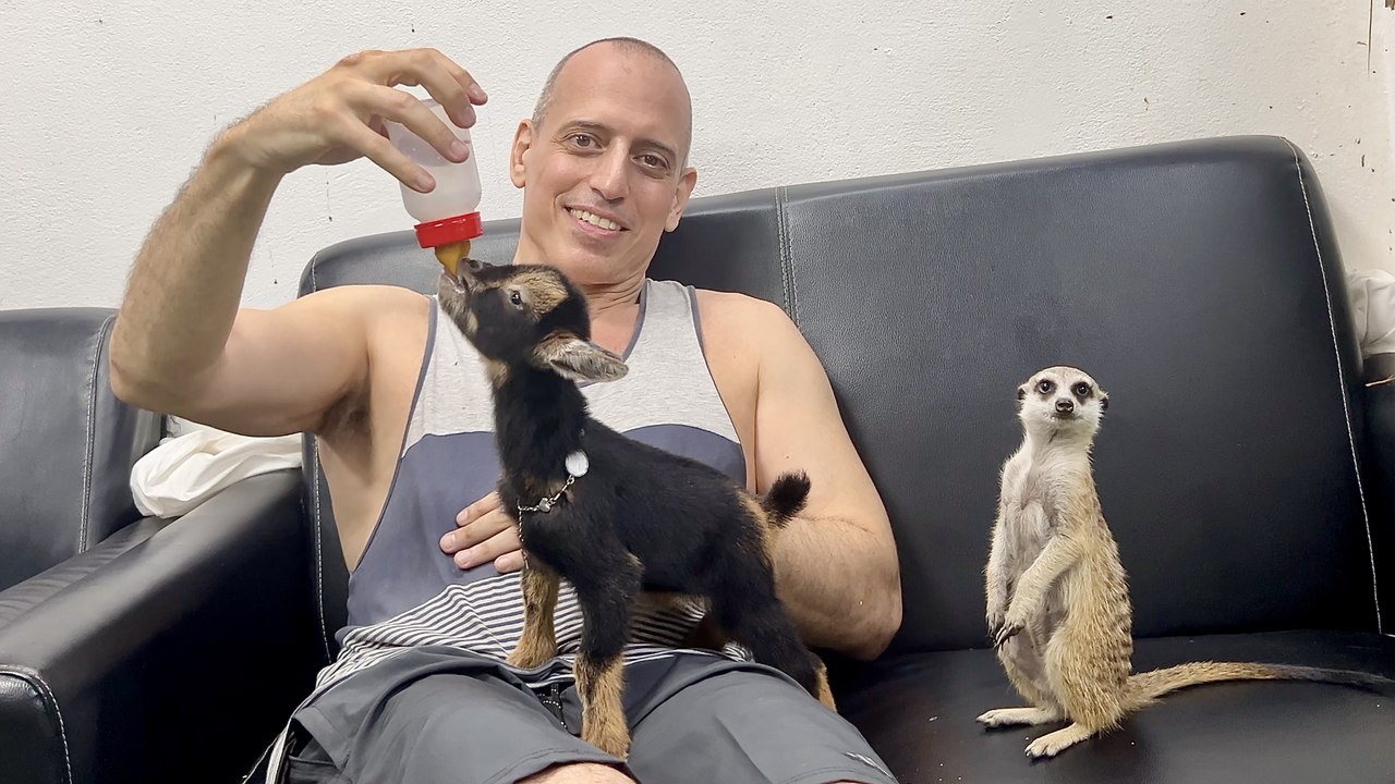 Crazy 3 Floor Petting Zoo in Pattaya Thailand ~ DinoPark