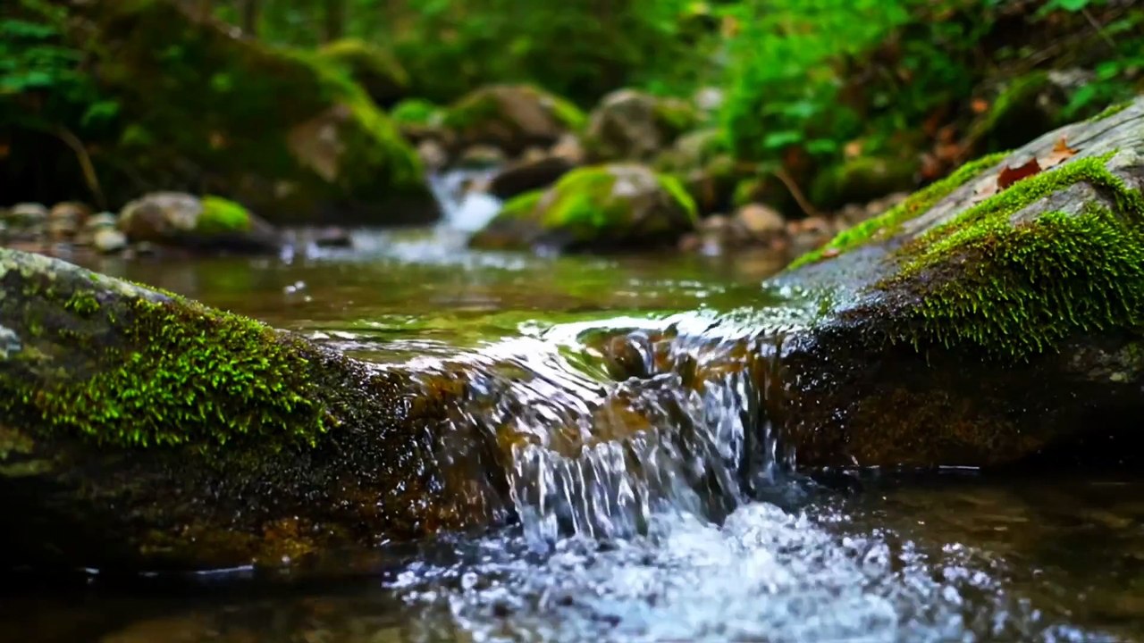 Clear River Stream ASMR for Relaxation and Deepsleep