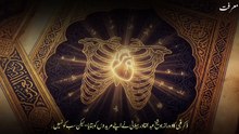 Zikr e Qalbi - Dil Ka Zikr Kaise Jari Hota Hai - Auliya Se Janein Raaz - Qalb Ka Raaz