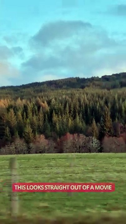 Wow, This Doesn’t Look Real 😲 || ItsNowViral