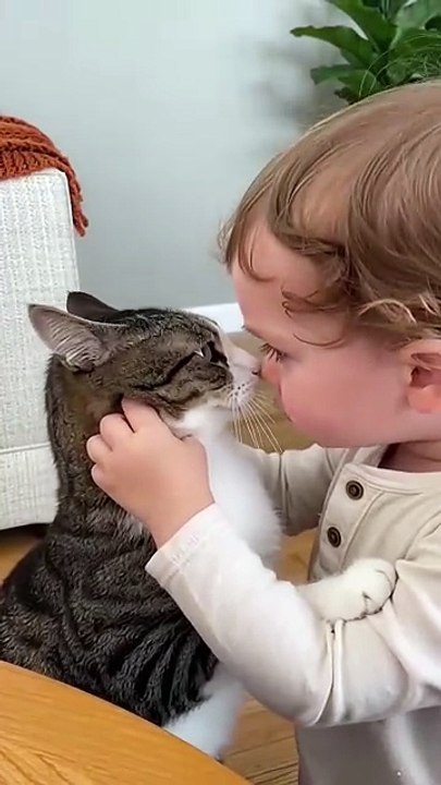 Cat and baby 😽