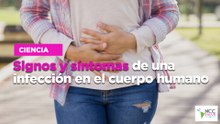 Signos y síntomas de una infección en el cuerpo humano
