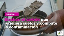 Biochar: el carbón que regenera suelos y combate la contaminación