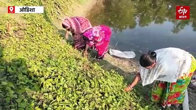 बालासोर का लेक्चरर, दिल से किसान, इंटीग्रेटेड फार्मिंग से लाखों की कमाई, कई लोगों की बदली जिंदगी