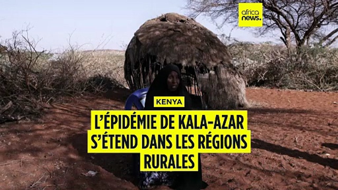 Kenya : le kala-azar, une maladie tropicale négligée qui tue