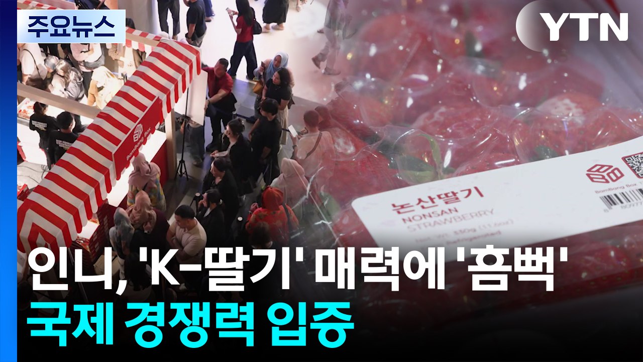 인니, 'K-딸기' 매력에 '흠뻑'...국제 경쟁력 입증 / YTN