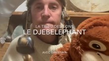Djembéléphant