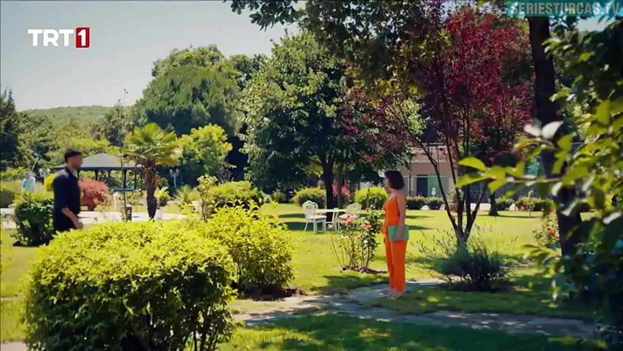 06. Te Guarde En Mi Corazon (Seni Kalbime Sakladim), en español