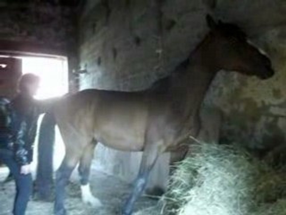 2Betty-gratouilles-Terri18.5.08