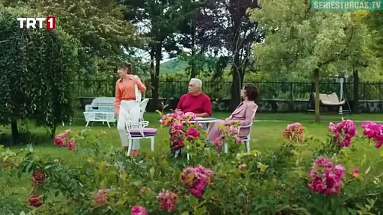 12. Te Guarde En Mi Corazon (Seni Kalbime Sakladim), en español