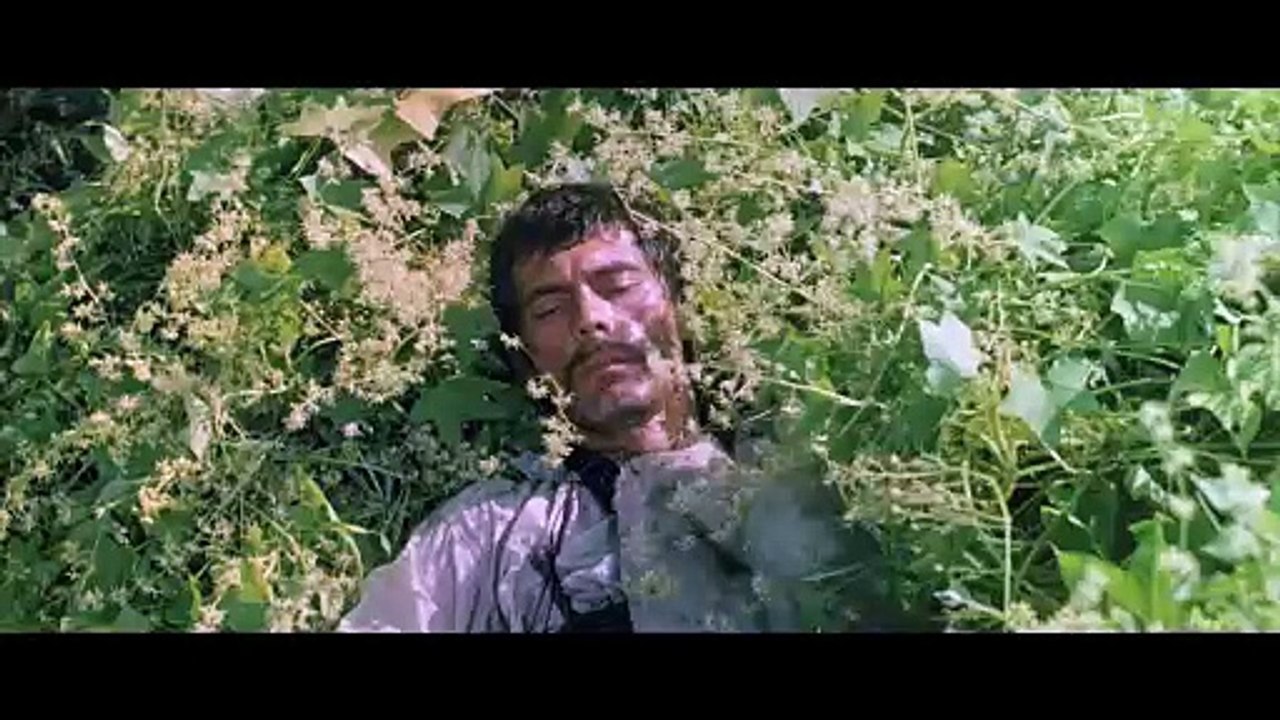 Das Zigeunerlager zieht in den Himmel - Trailer (Deutsch) HD