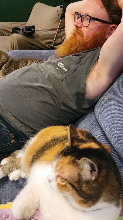 The Ginger and his two flanking generals, Cory and Elsie. | #SparklegleamFarm #Elsie #Cory #TheGinger #farm #LadyChunkerella #cats #catlovers #cute