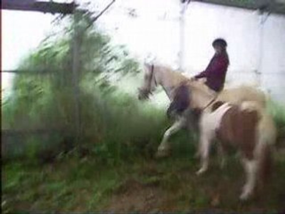 Ma bestouille sr ma toupie en saut a cru