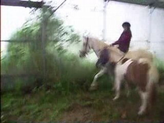 Ma bestouille sr ma toupie en saut a cru