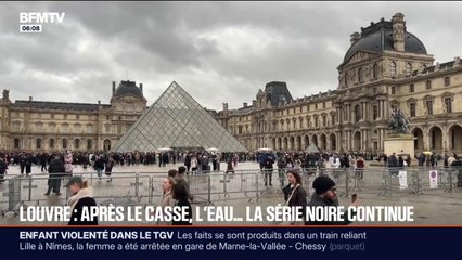 Une salle de la bibliothèque des Antiquités égyptiennes du Louvre inondée, plusieurs centaines d'ouvrages endommagés
