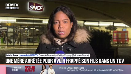 Une mère, suspectée de violences sur son fils de 6 ans dans un train, interpellée en Seine-et-Marne